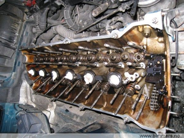 05gsbc51vx2tk3x7uhhg.jpg