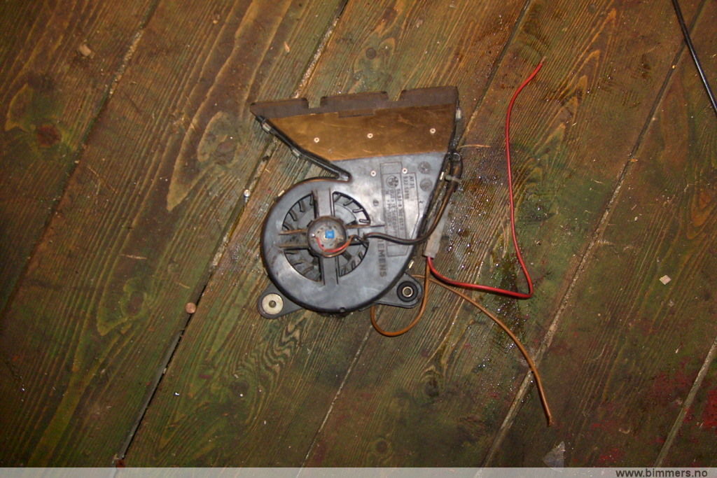08kv3jfybm5bononjzce.jpg
