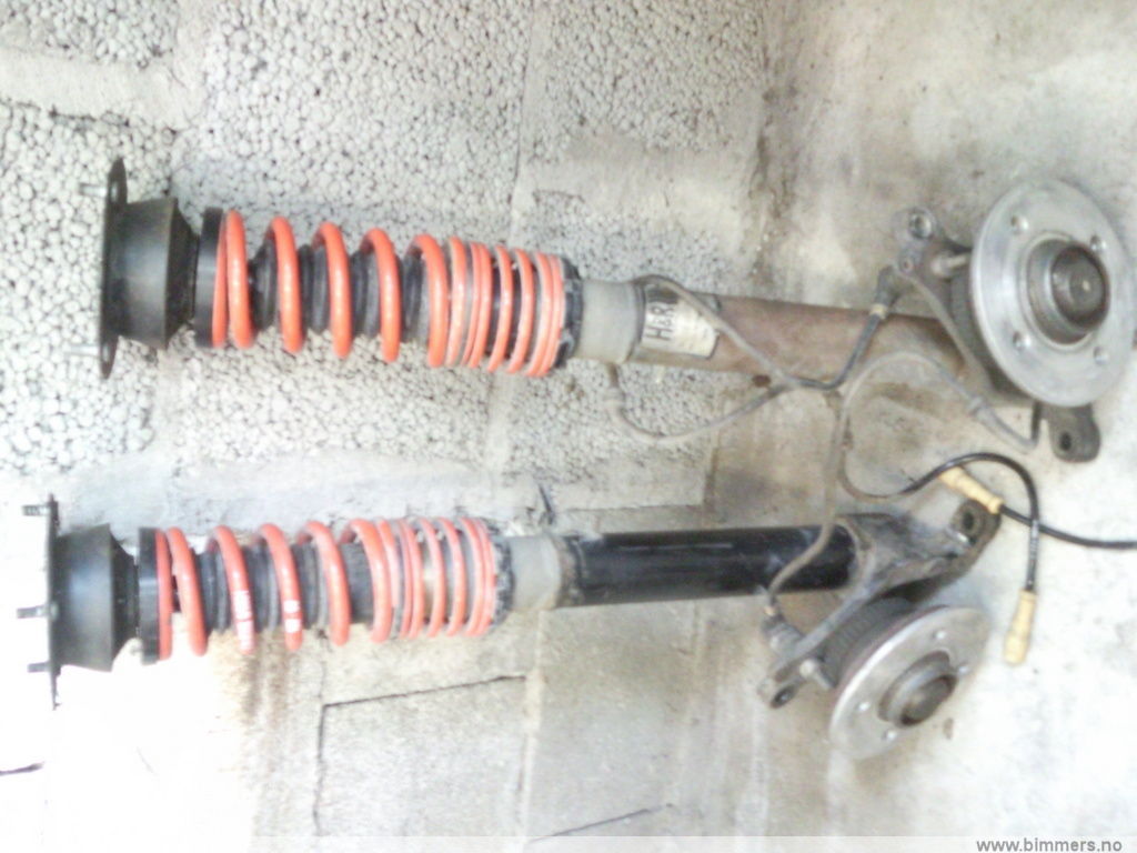 098bg3vrostsripeqr7g.jpg
