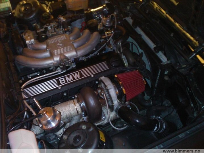0a90biwf9lfuoap11qvi.jpg
