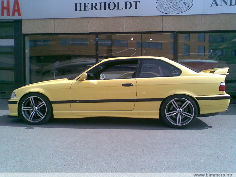 1ij877arvtlfl1crkr75.jpg