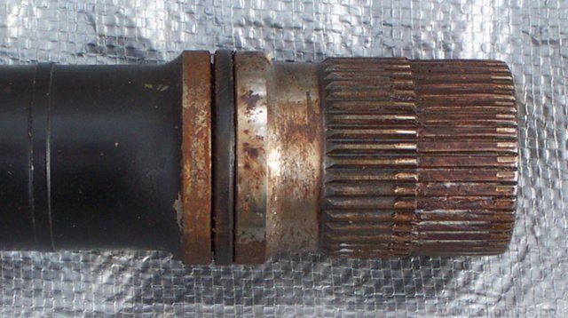 1ned95kr8oildtxu935u.jpg