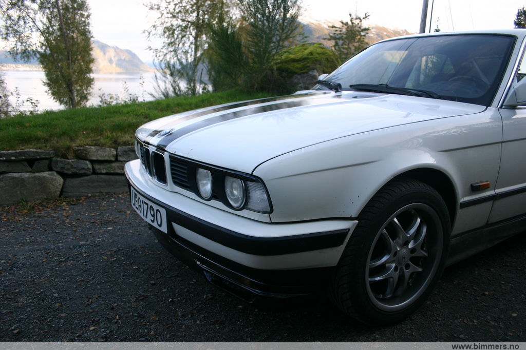 22679v8fhs6pudxx8jml.jpg