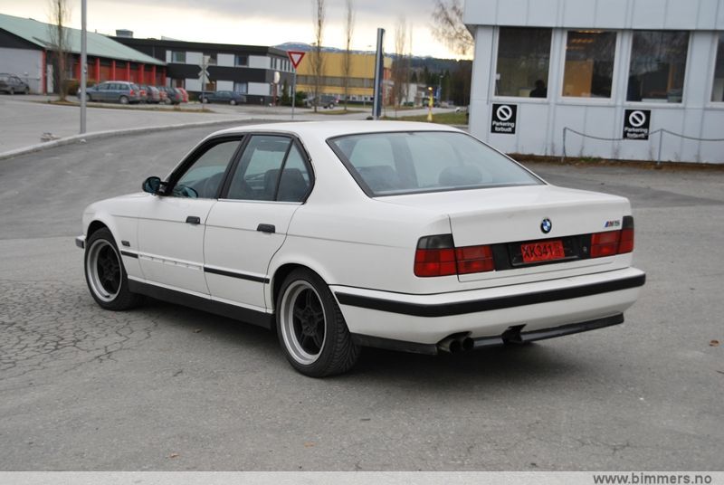 2tc0dor58r35nq639jea.jpg