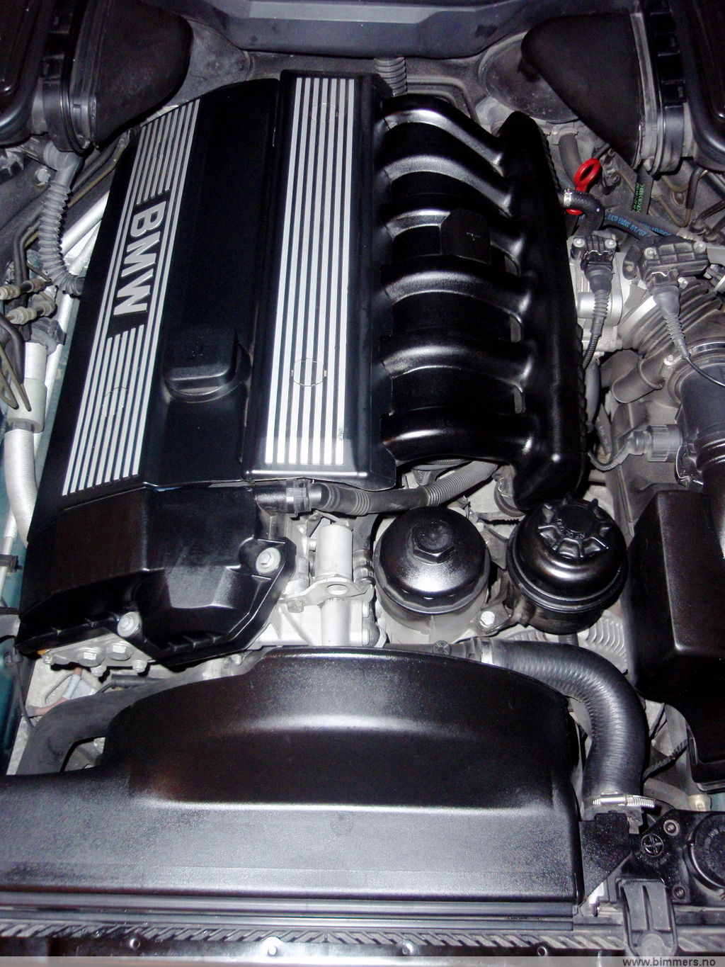 2vzv8x205onbi57z7lmh.jpg