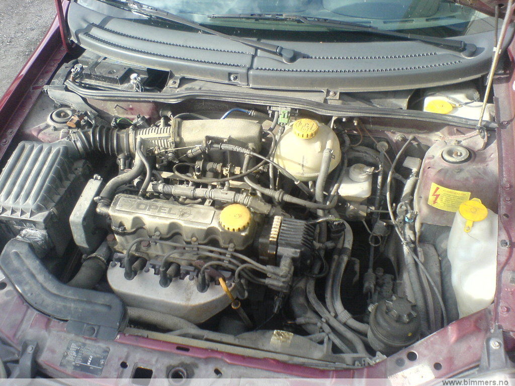30lynbsssrkhqgmvp15p.jpg