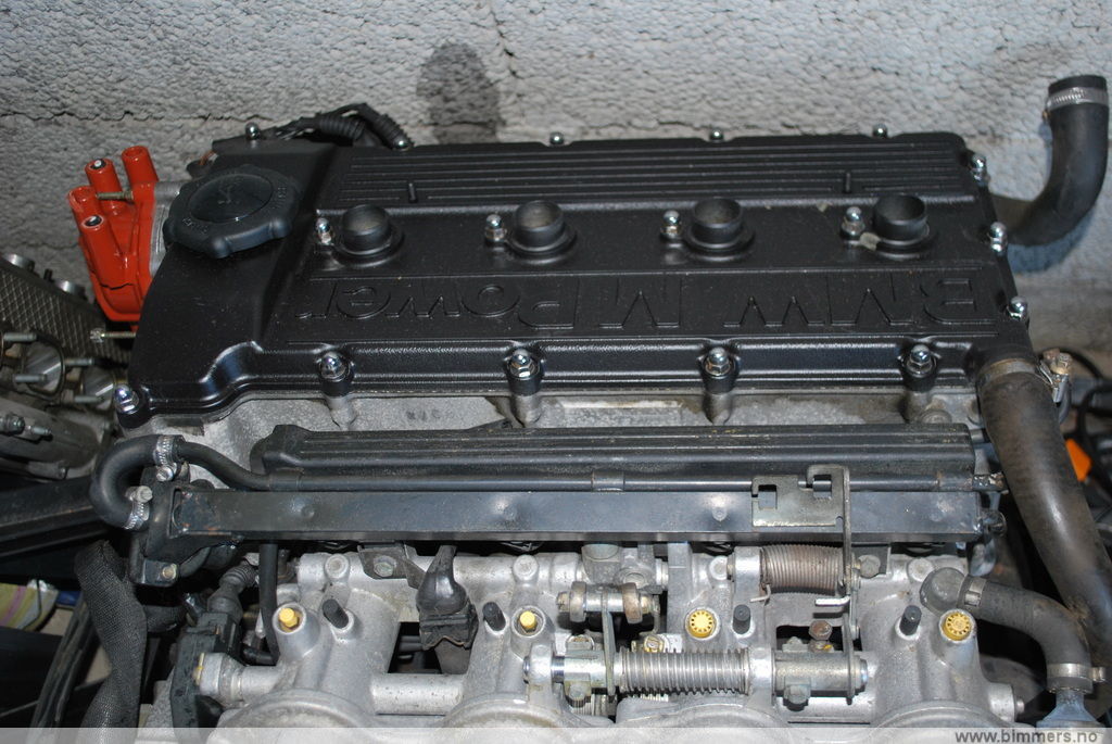 31gwrxpfgv0jpj04m1u7.jpg
