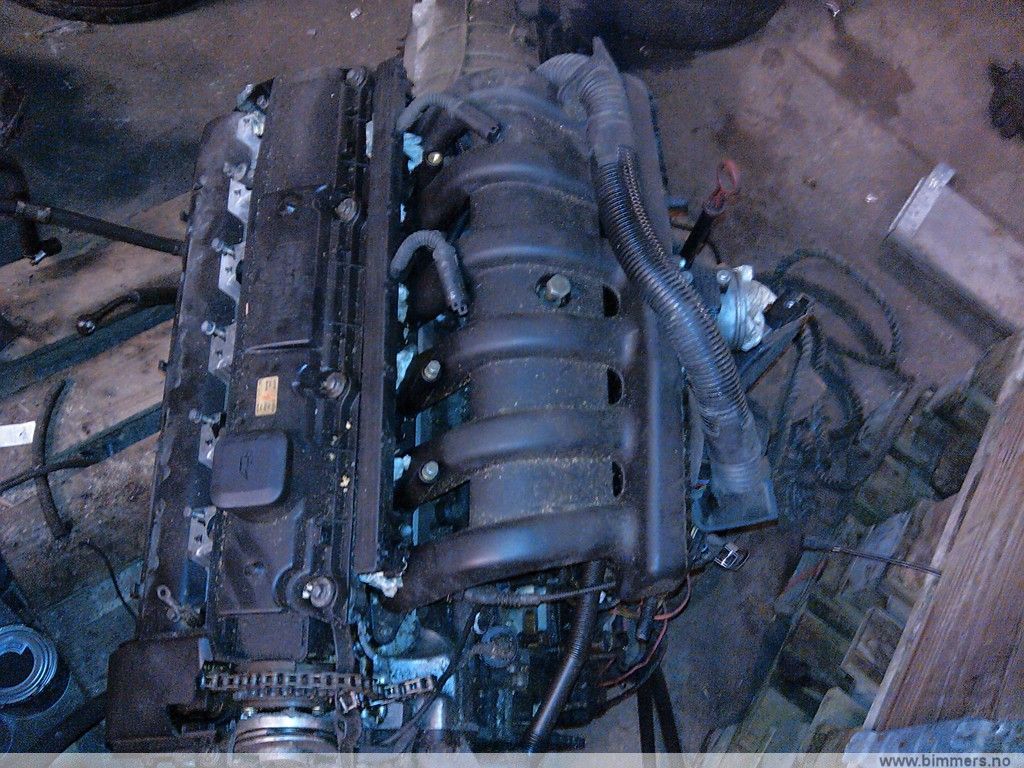 39alr70mqv2re2evum8y.jpg