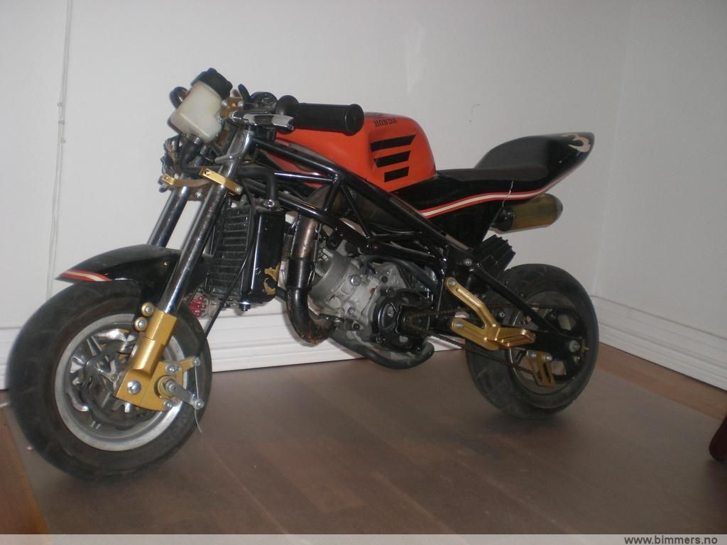 3drwq244j2sf93ls2pom.jpg