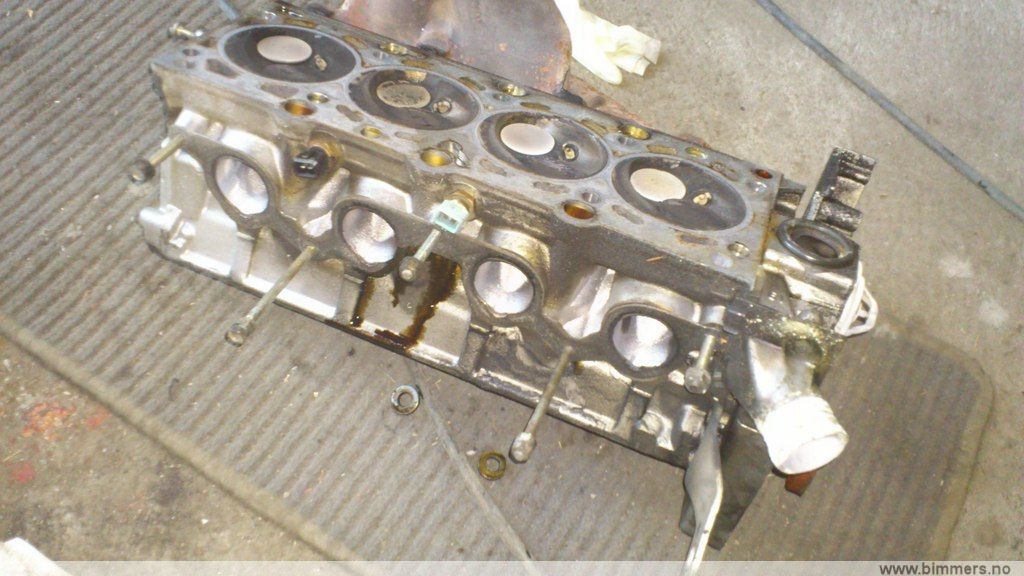3fy0tmp728z612l3rwmv.jpg