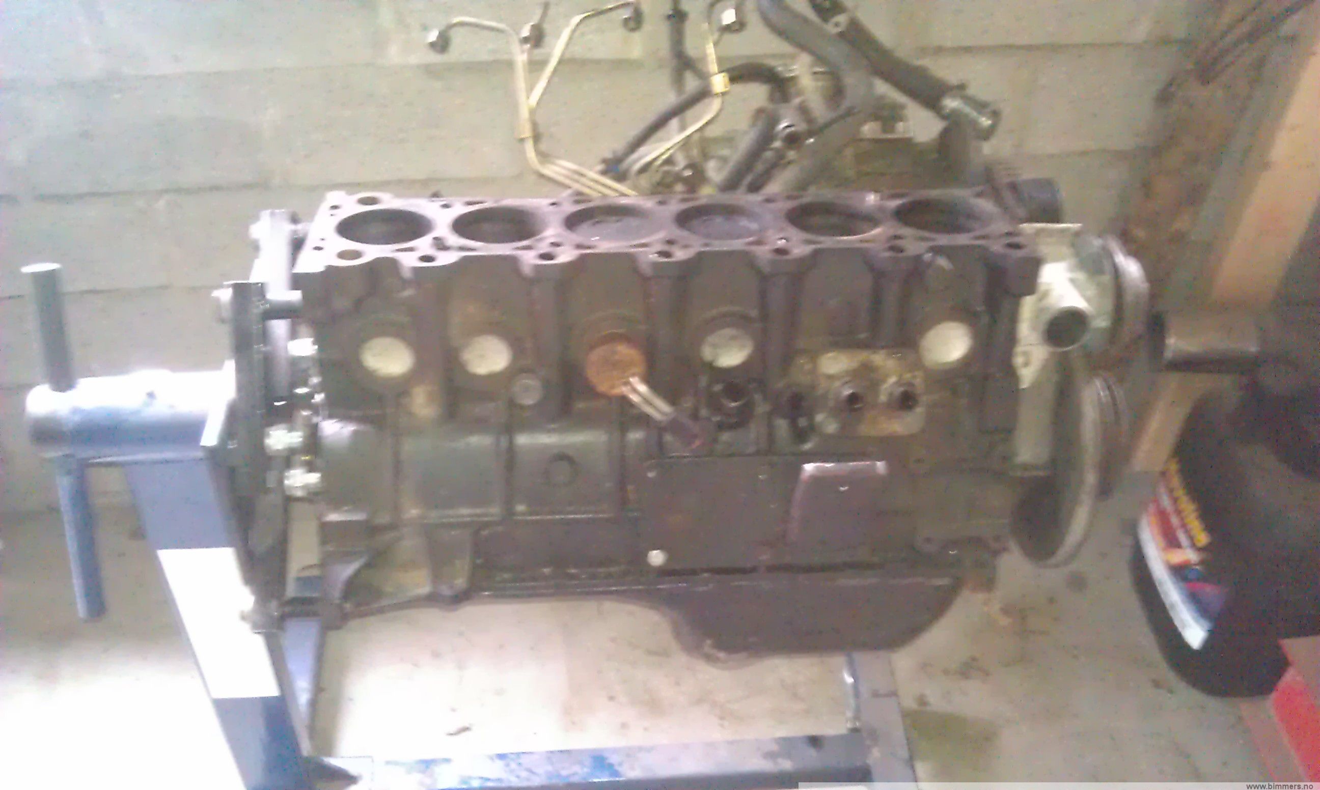 3iy2lbwm548s7u8c0xzj.jpg
