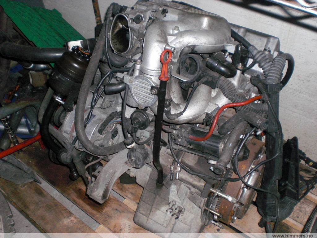 3k115d987l6qfzrg7sfk.jpg