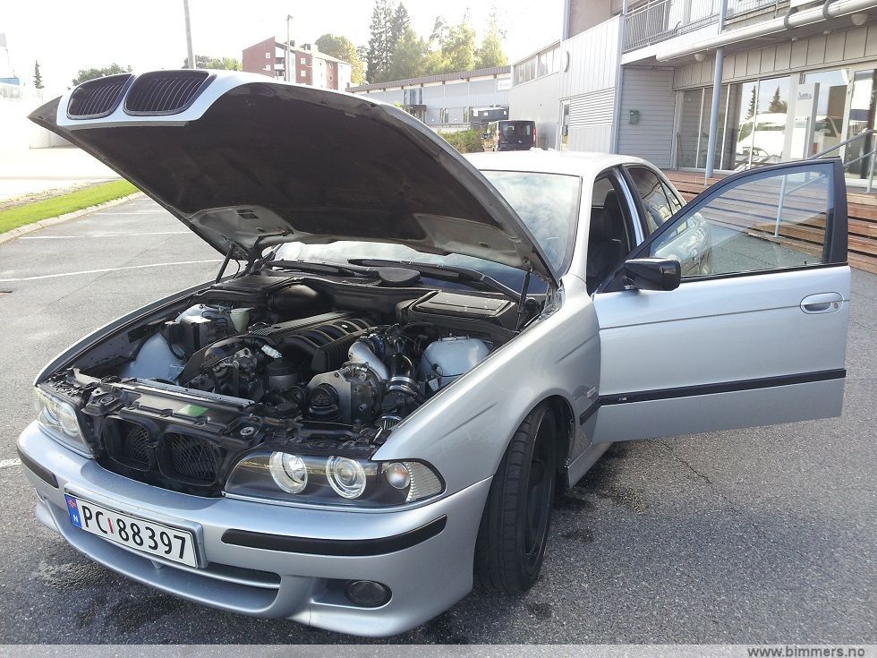 3l6g40gi96v57kwzcmh8.jpg