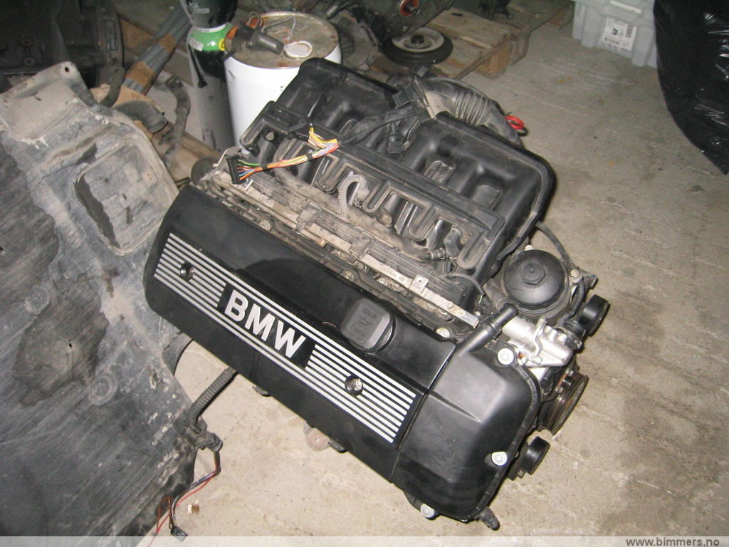 3rpit3d1q588krropi7z.jpg