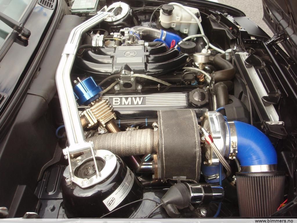 41kw1qrd7sbh8u49p8zs.jpg