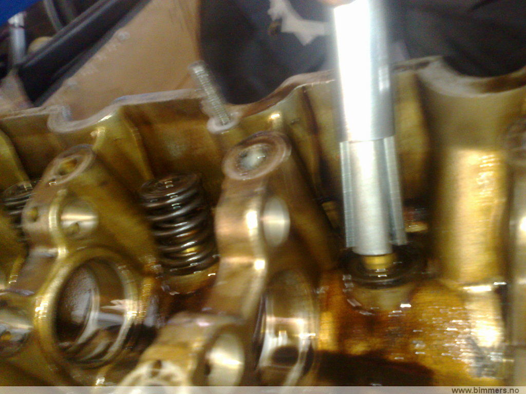 4b88b16tdi49qdbvp0ht.jpg