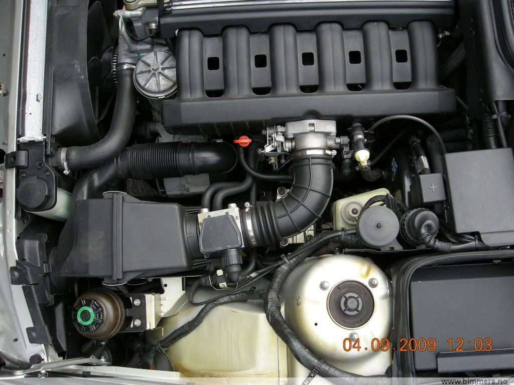 554sw76l91cx13uo07de.jpg