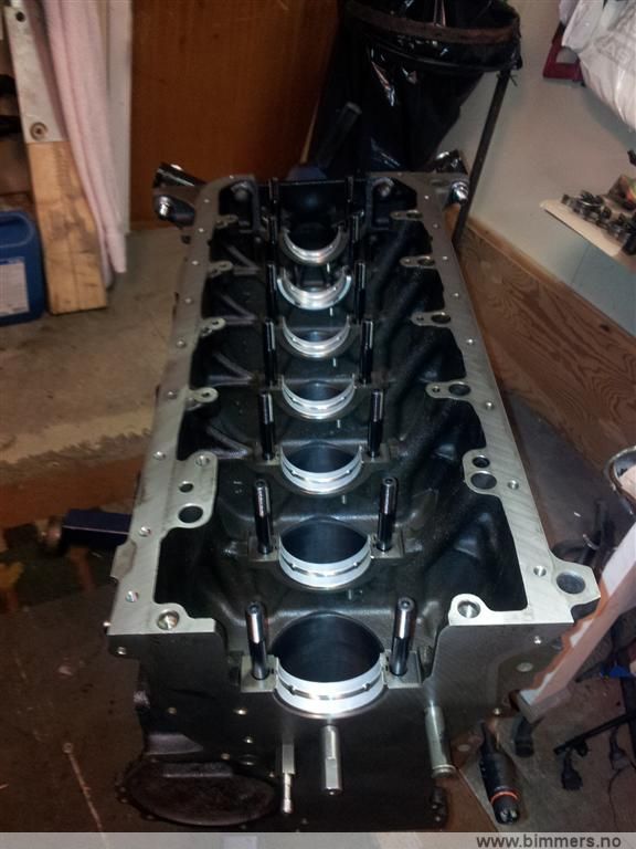 5dsg8anr8bapcw6np67b.jpg