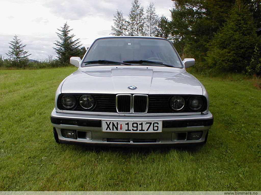 611v0atvxgzoyq3spjm5.jpg