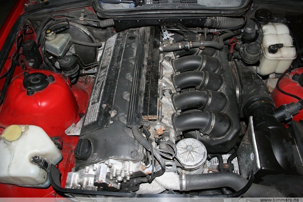 6681w64sgem1i1pqrzb5.jpg