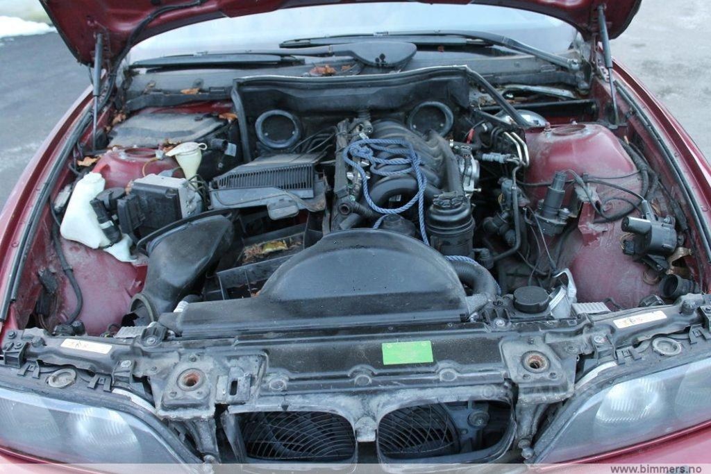 6fuc9rx8py85onl5l1ny.jpg