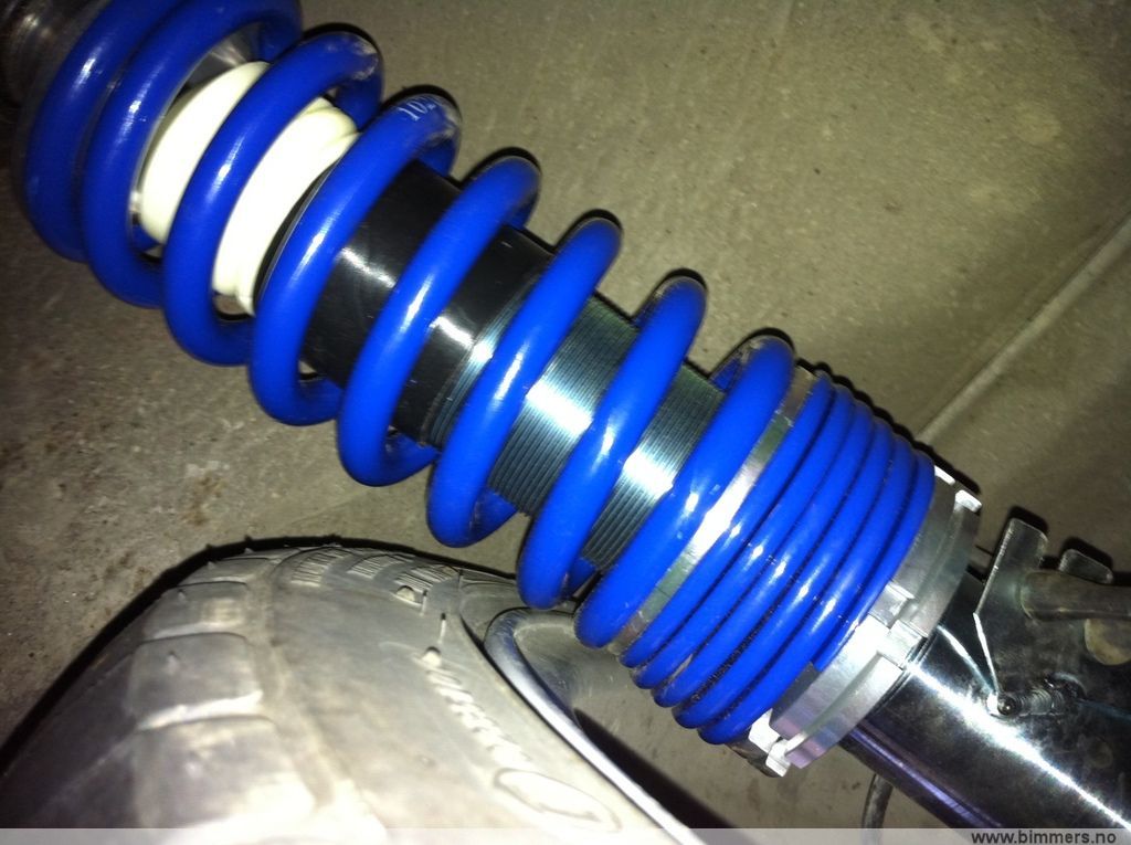 6fuhm58g38sp58ive3lr.jpg