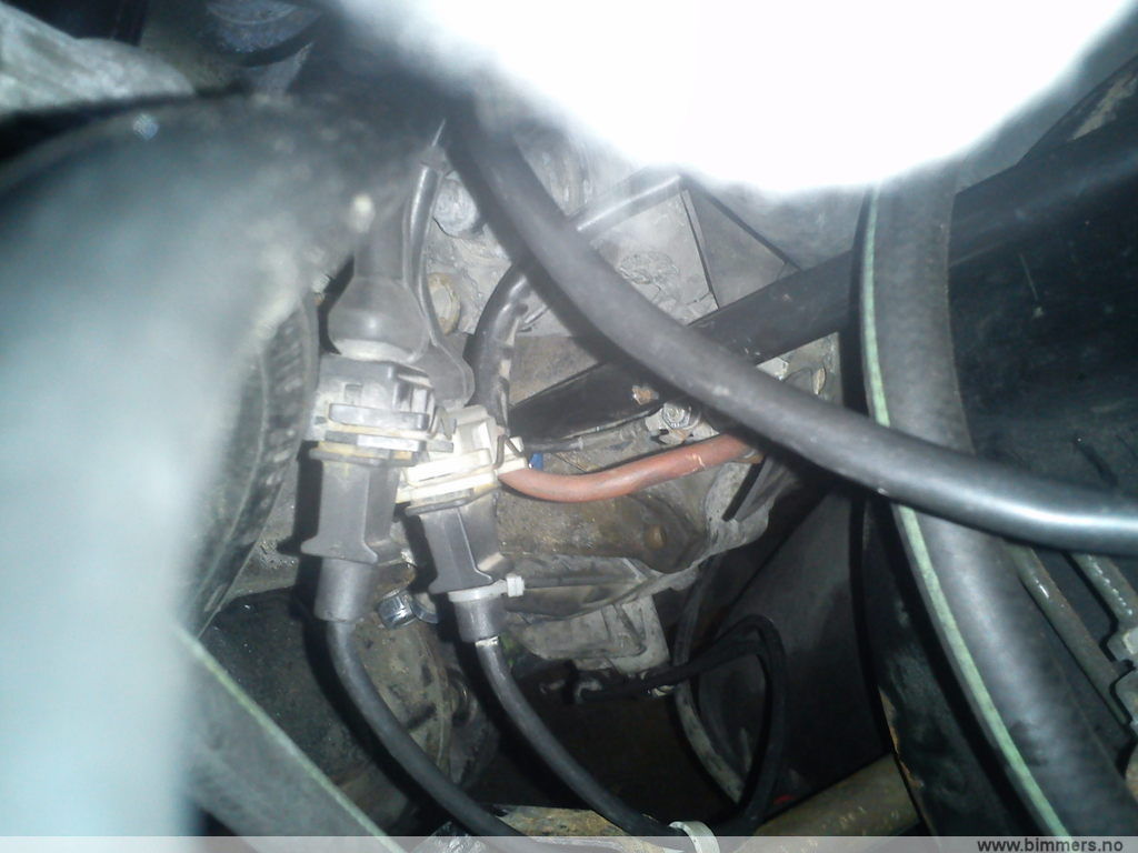 6kx6tlyk89r879nkegos.jpg