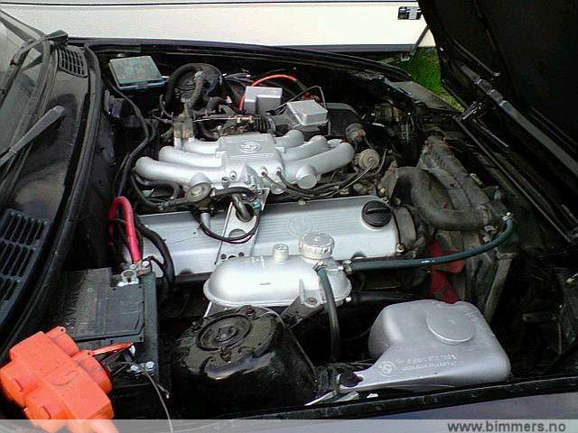 6rb9f7t1h295iuakbdgn.jpg