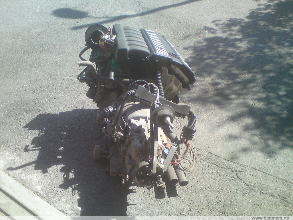 6wrvlnl9jej4v09svtmk.jpg