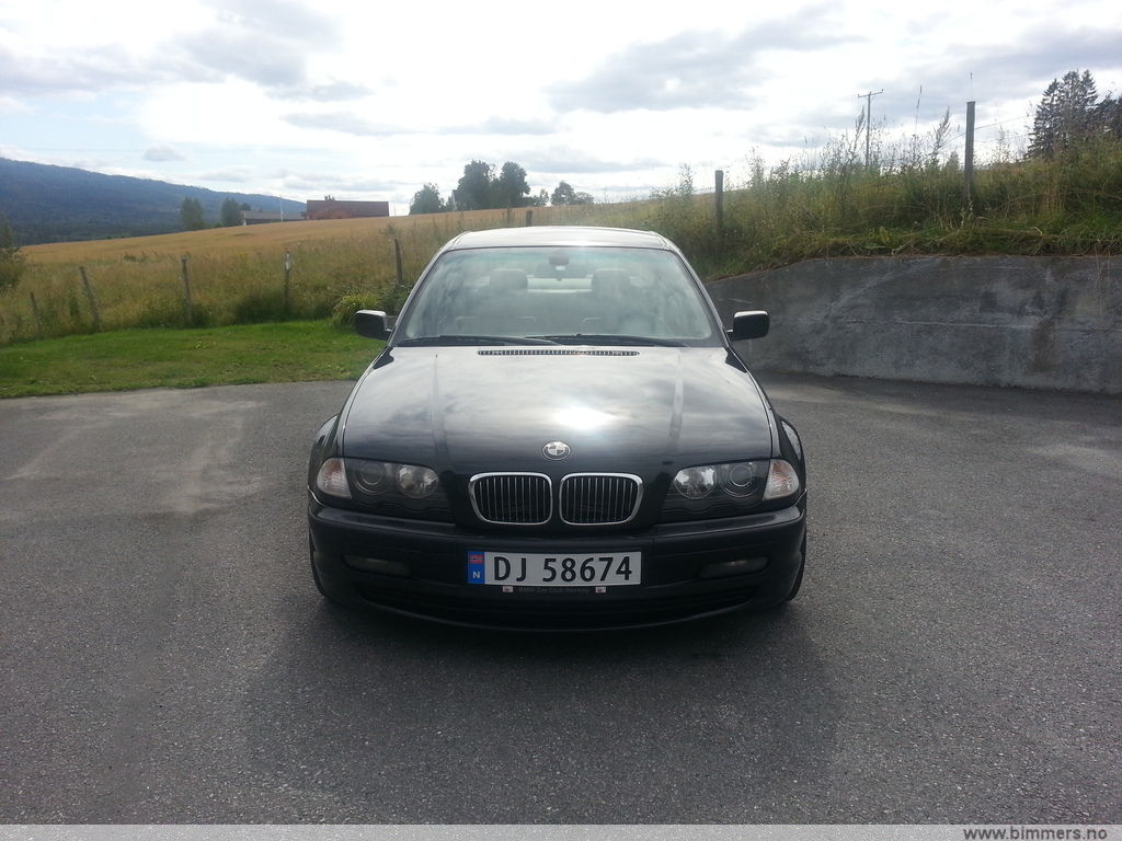 72mgrllryj833tr9hp4c.jpg