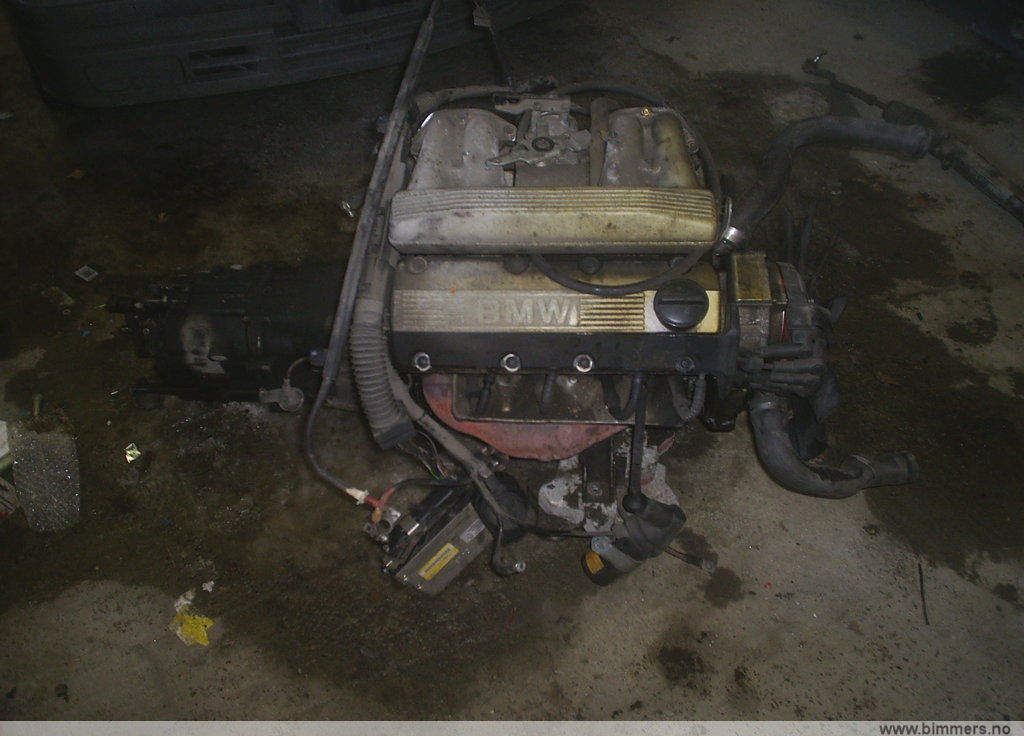 751pveqwq5d234ocgtmu.jpg