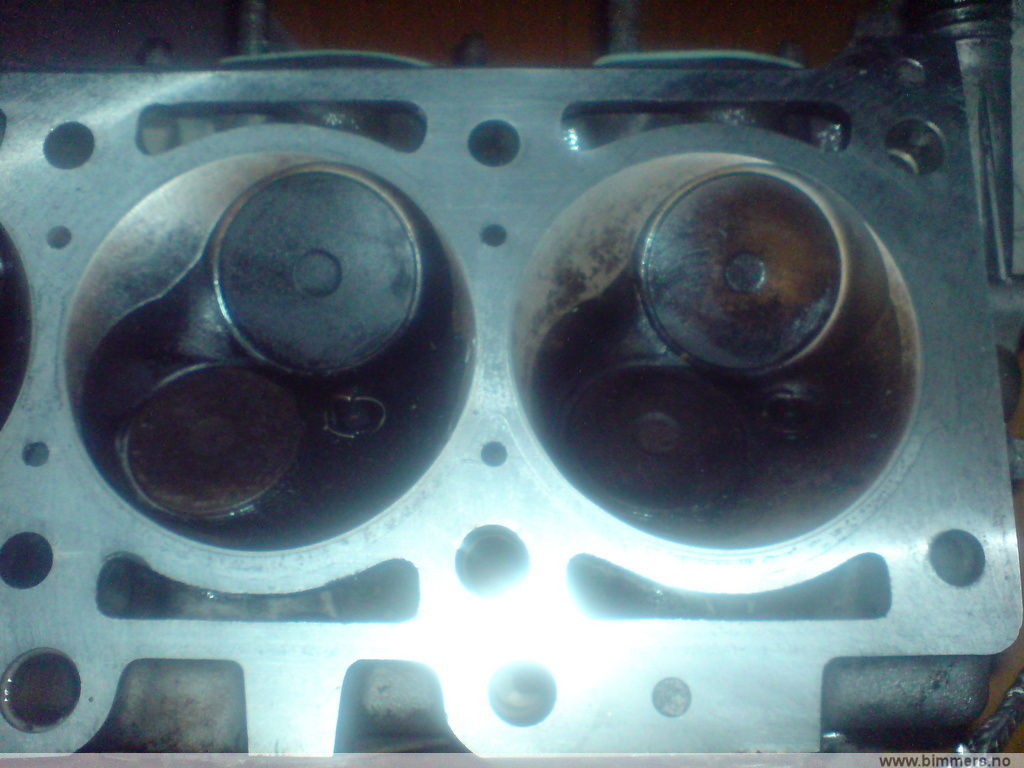 7sf1sp2a0acjg875hliu.jpg