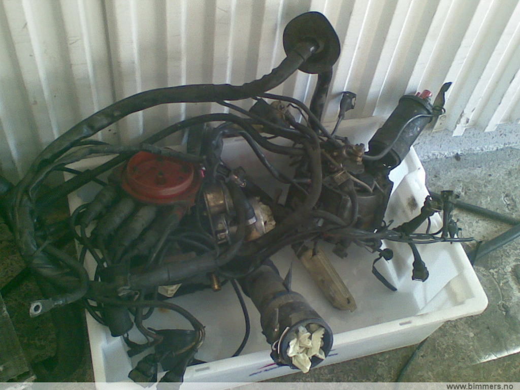86sx2jkw67zaujenk7b5.jpg