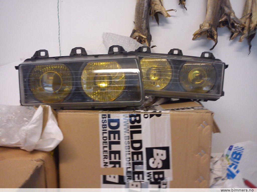 8jwxcbh2xrx362eox8yk.jpg