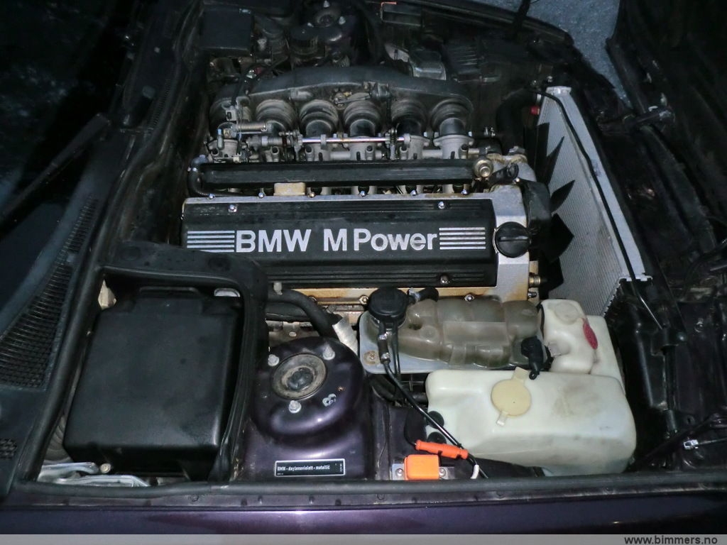 8p49xndfz68fey4prmrb.jpg