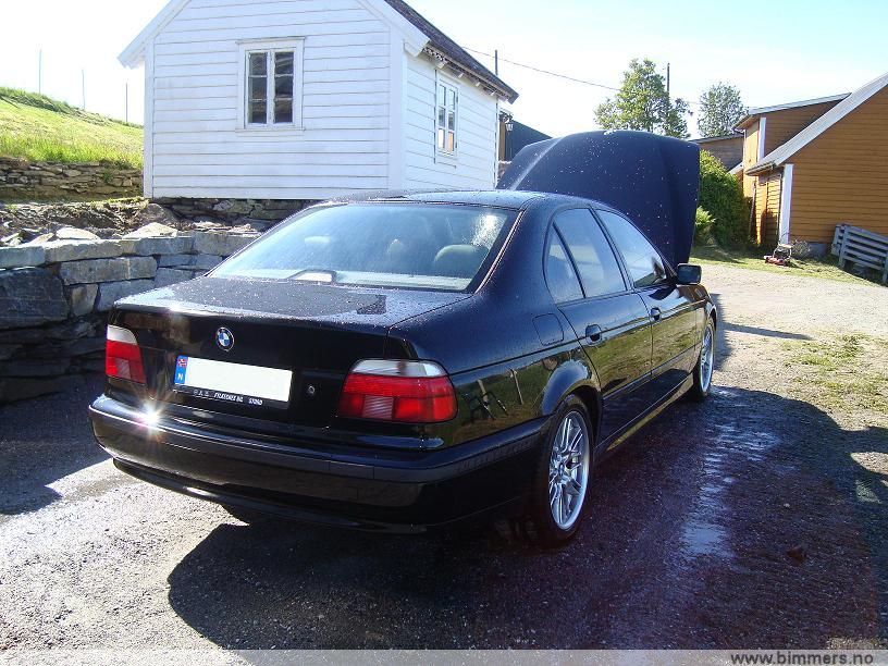 8pou9xxt9mxp7hnnge0l.jpg