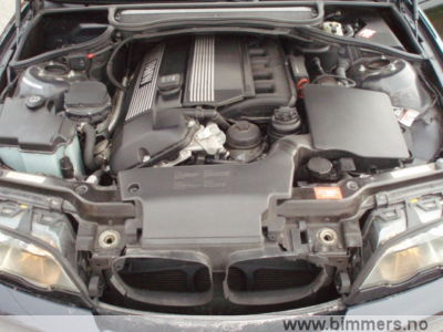 8x6l81fmoz6zmcndecjk.jpg