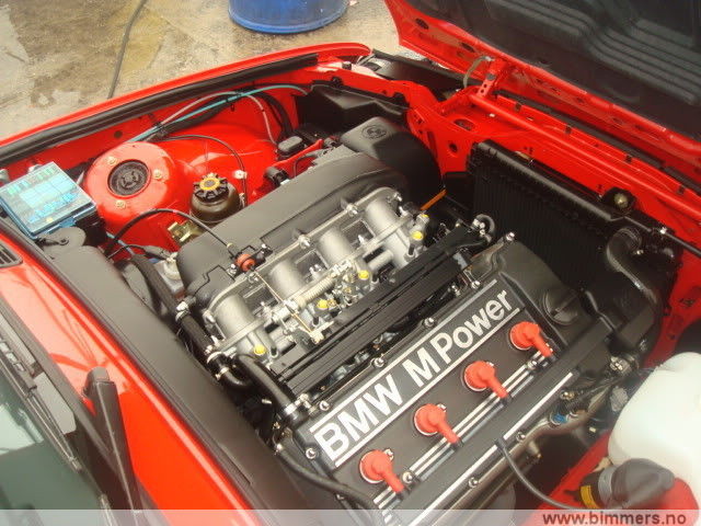 91yt22sgsm8q71yxj50l.jpg