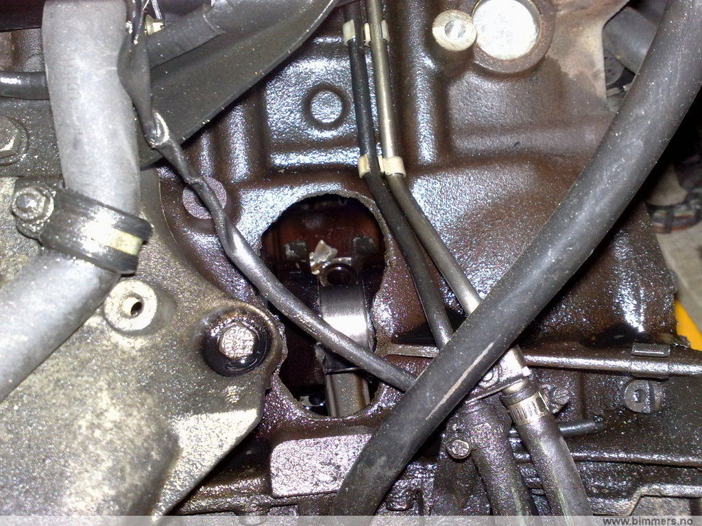 95otrc18njiwnqj61fyu.jpg