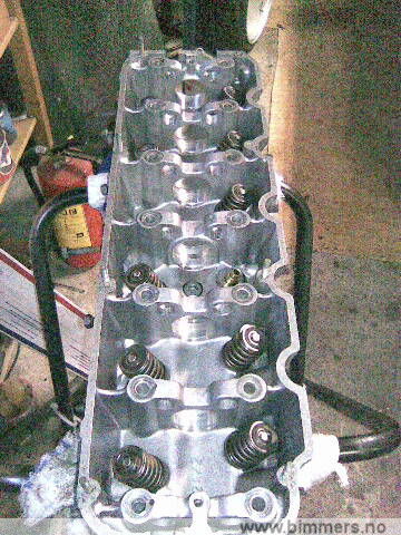 97igbr5hkv81qf72an1m.jpg