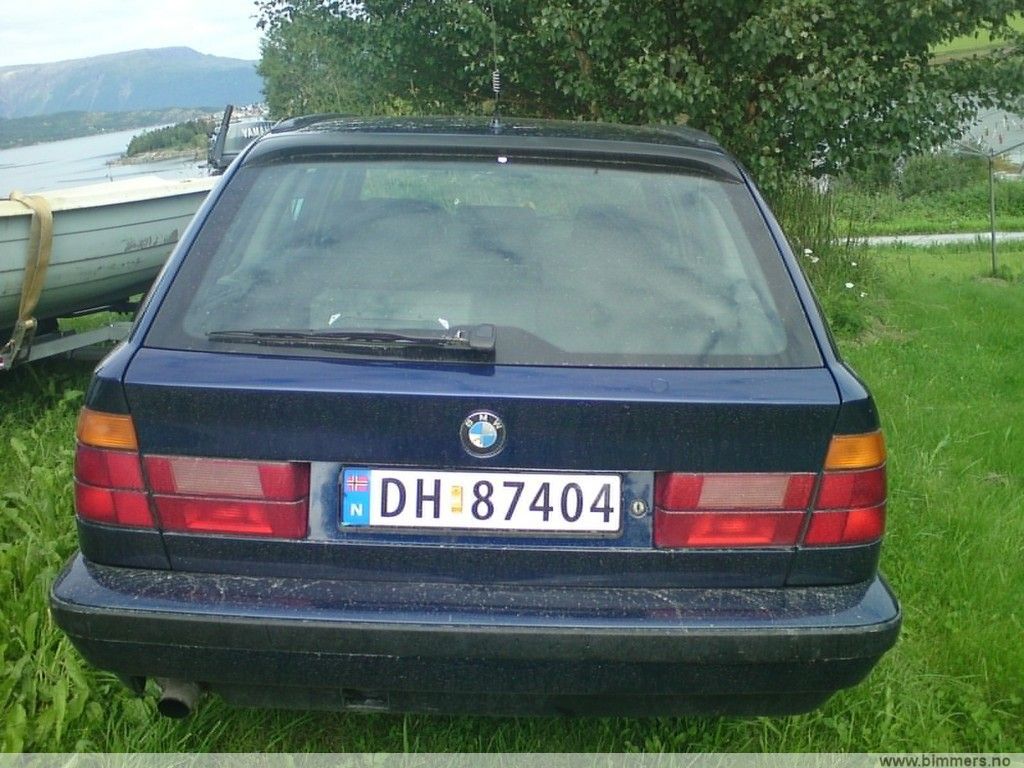 99w5civ5a0a6dix9pqrj.jpg