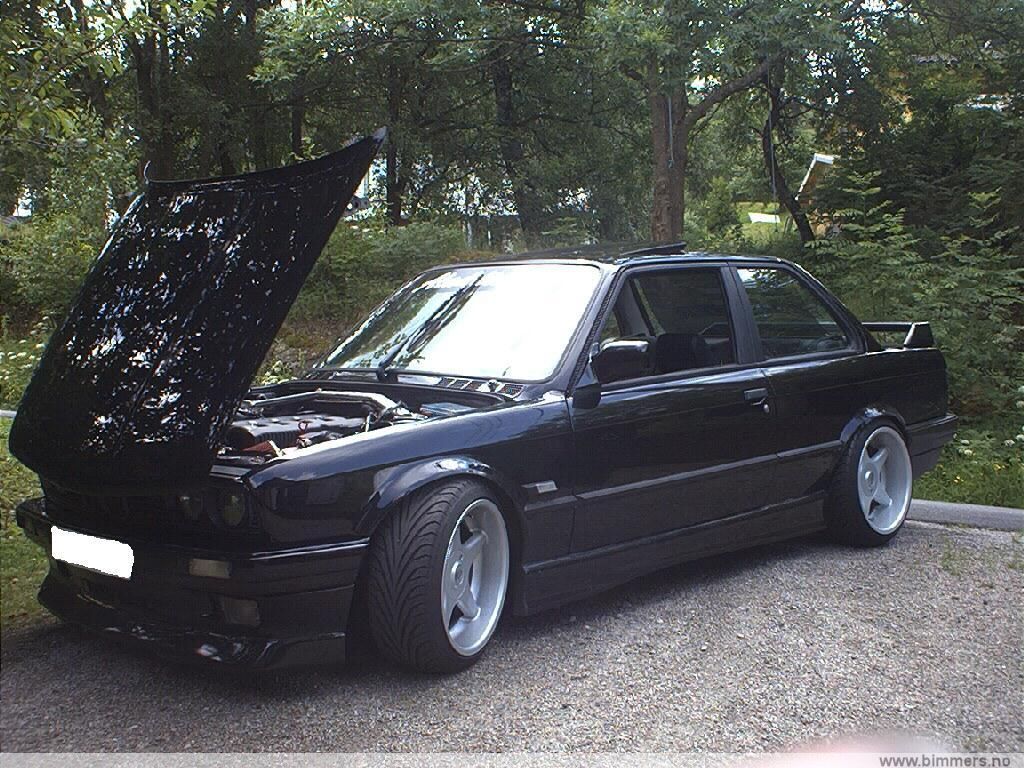 9t5aae06ajymupsvknvi.jpg