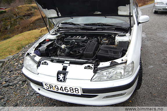 a04or4do9vllv9cigg44.jpg