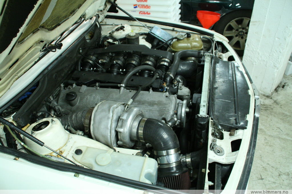 a1c2gsxy99lgr6dj7ced.jpg