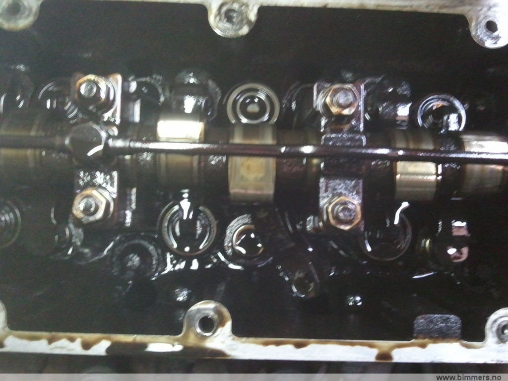 a3ace2xwv7zd72qpifnq.jpg