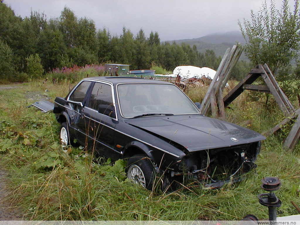 a3r2bx8x51jj26fqwsrj.jpg