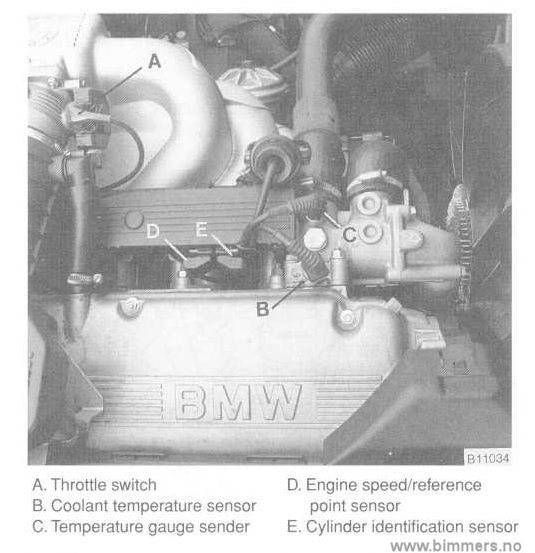 a3ufy3bqxn95onczo6cx.jpg
