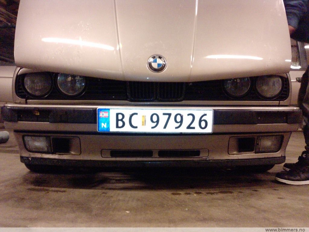 al88n3s36rfvn6wvkq5u.jpg