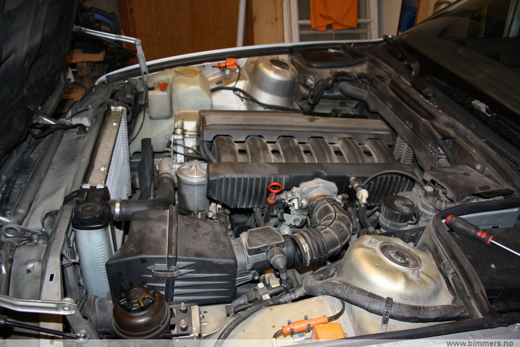 an5w617b10bgaoq0uzcw.jpg
