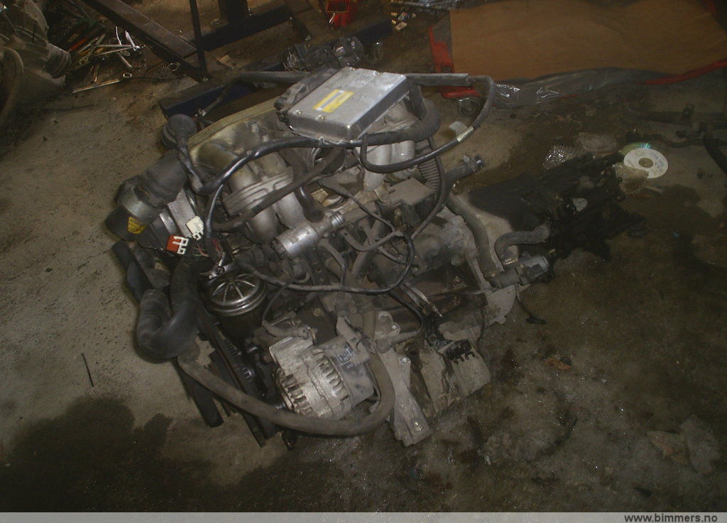 b7a3aq85xoob29pwpqou.jpg